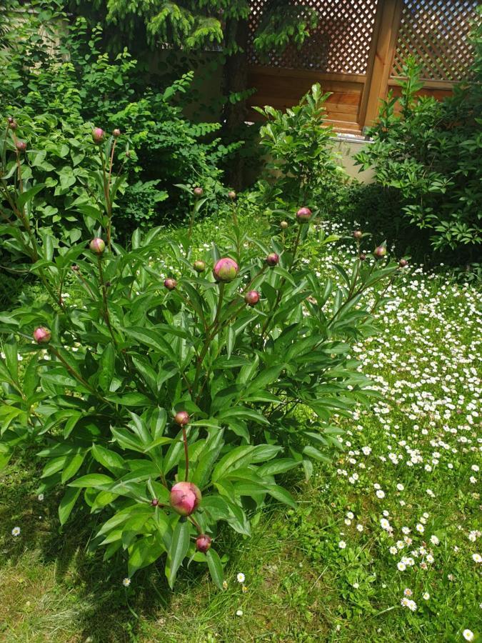 Apartment Mirela Saraybosna Dış mekan fotoğraf